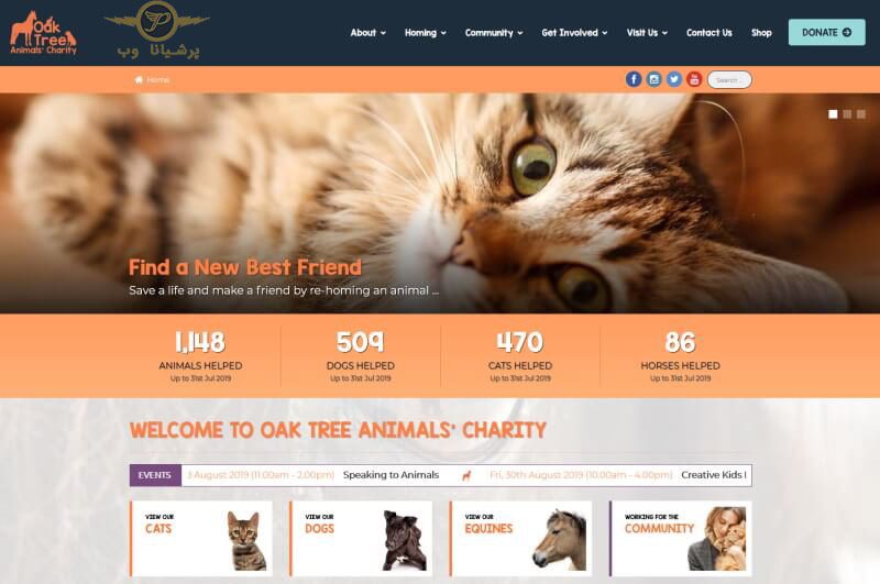 خدمات طراحی سایت حیوانات خانگی