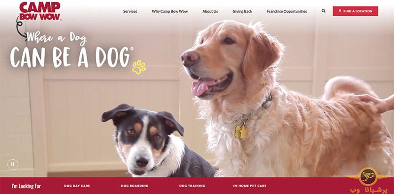 شرکت طراحی سایت حیوانات خانگی